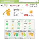 벅스79 | 블루헤런cc 후기 동, 서코스 2025년 7월중순 라운딩