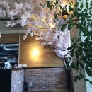 사파동206 이미지