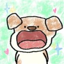 네일지구