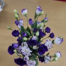 하경농장 이미지