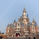 ✨ 상하이 디즈니랜드! ✨ 779,000부터~ 이미지