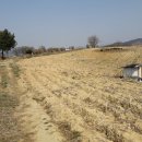 공장부동산중개사무소 이미지