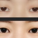 인아웃 이미지