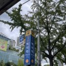 백석동 분식 맛집 별밀당 후기