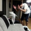 짝짜꿍 네이버블로그