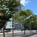 참약사 운서365공항약국 이미지