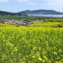 고창읍성
매표소 앞 이미지