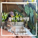 다사오토바이 | 발리 자유여행 4일차_길리 카페 추천/ 우붓 숙소 후기