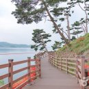 돌다리 농장 이미지