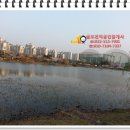 덕일체육관 이미지