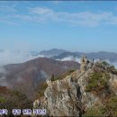 라성호텔 맞은편 이미지