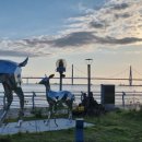 고흥숲속의바다 이미지