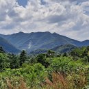 경천생활체육공원-1 이미지