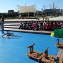 신호초병설유치원 이미지