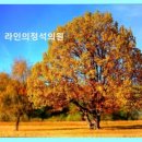 라인의정석의원 네이버블로그