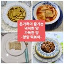 양양이네소스