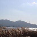 외포리버스터미널 이미지