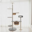 오로라 캣 이미지