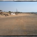 감람농장 이미지