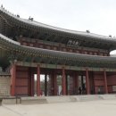 태종청과 | [조금 오래된 사진 3] 서울 도심 속 보석, 창덕궁