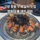 향릉숯불돼지갈비 | [내돈내산]고양 향동 향릉숯불돼지갈비 후기 - 주차,수제 양념갈비 맛집 추천