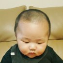 태양이발 이미지