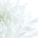 영남문구 네이버블로그