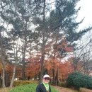 금정체육공원 이미지