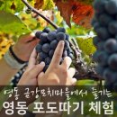 모리 경로당 이미지