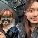 11월 드루와