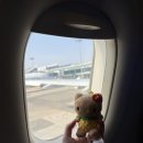 강남대로8길 39-68 | [내돈내산] 3월 간단 외식 모음집. 김해 청송갈비, 돈키돈까스, 분당 원조할매보리밥, 세루리안힐즈...