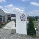 우드리팜 | 삼봉지구 애들 데려가기 좋은 브런치카페 ‘우드리팜’(+주차장)