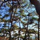 성전암등산로 이미지