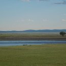 멍근멍근 이미지