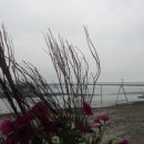 장봉바다역 이미지