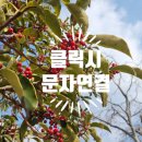 교촌 은평뉴타운점 이미지