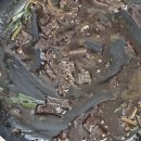 황궁쟁반짜장 | 하동 진교 현지인 추천 중국집, 대호반점 황궁쟁반짜장 솔직후기