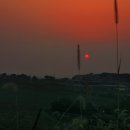 연사랑 목장 이미지