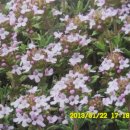 선산대로3-4 이미지