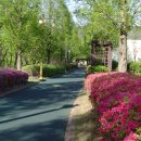 신정호수공원-9 이미지