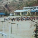 임동초등학교 이미지