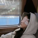 [여수] 여수1박2일 뚜벅이여행/여행코스/맛집/호텔/케이블카/KTX
