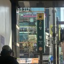 들꽃약국 | -25.04.13/ 어쩔 도리가 없었죠