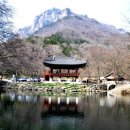 만암 종헌(曼庵宗憲) 대종사(1876~1957) 이미지