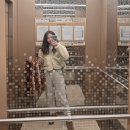 평창우선생원주점 | 원주애견카페 주말에는 위아더멍 / 원주한우맛집 평창우선생