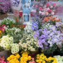 자유도매시장(동구) 이미지