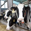 여행공장 이미지