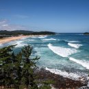 화진포 생태박물관 이미지