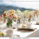 노블레스봄결혼정보