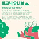 청년피크닉 이미지